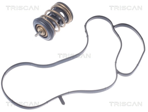 Thermostat, coolant (8620 49897)