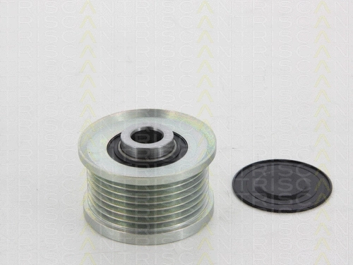 Alternator Freewheel Clutch (8641 134002)