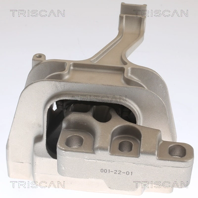 Mounting, engine