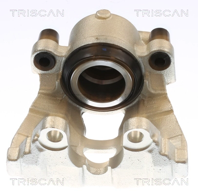 Brake Caliper (8175 10132)