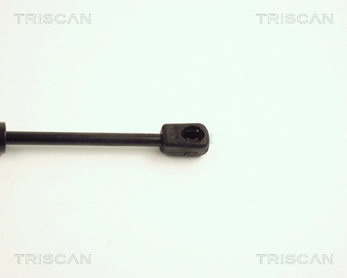 Gas Spring, boot/cargo area