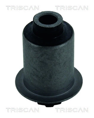 Mounting, control/trailing arm (8500 41801)