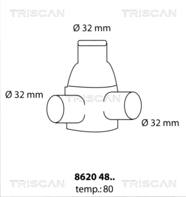 Thermostat, coolant (8620 4880)