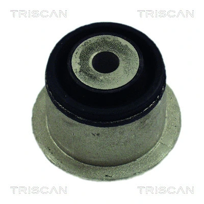 Bushing, axle beam (8500 24838)