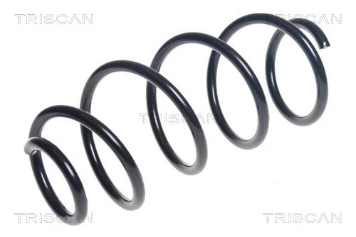 Suspension Spring (8750 29514)
