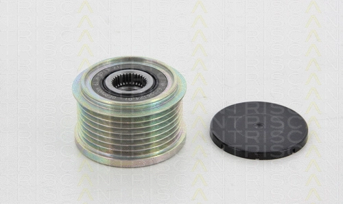 Alternator Freewheel Clutch (8641 164014)