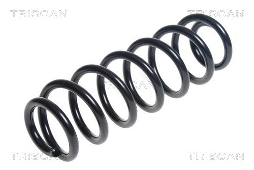 Suspension Spring (8750 29400)
