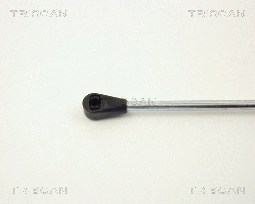 Gas Spring, boot/cargo area