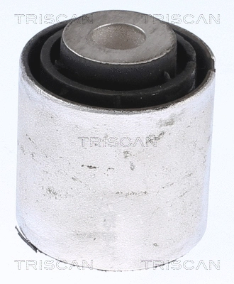 Mounting, control/trailing arm (8500 118019)