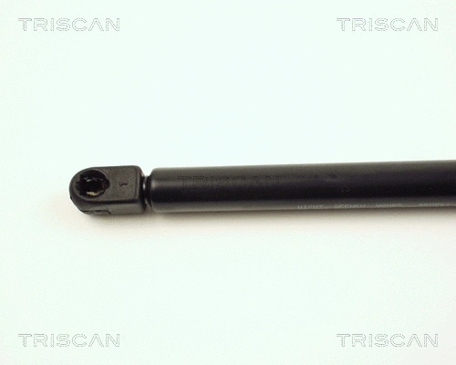 Gas Spring, boot/cargo area