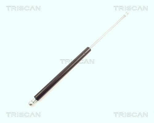Gas Spring, boot/cargo area (8710 16216)