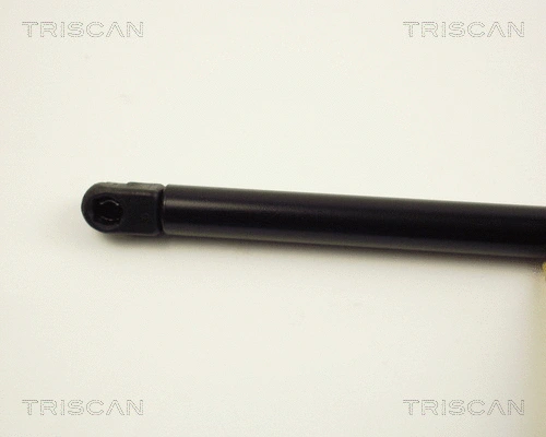 Gas Spring, bonnet