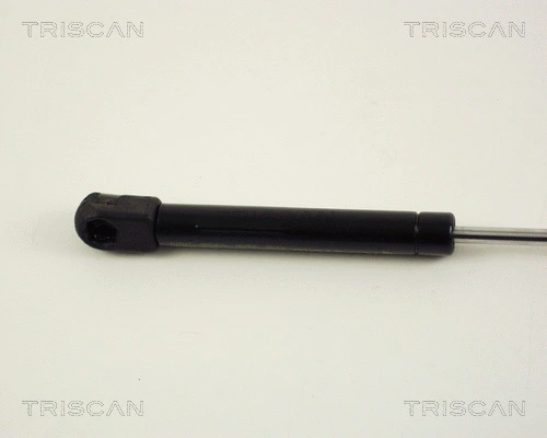 Gas Spring, boot/cargo area