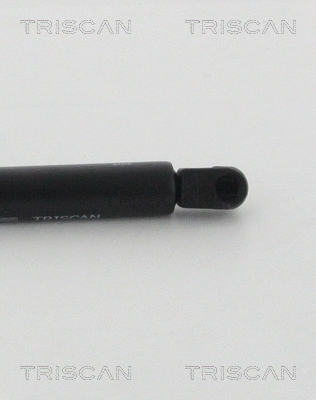 Gas Spring, boot/cargo area