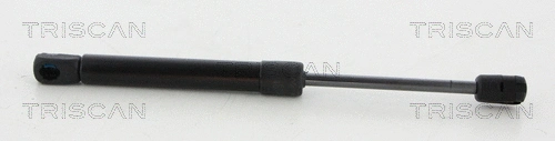 Gas Spring, boot/cargo area (8710 50258)