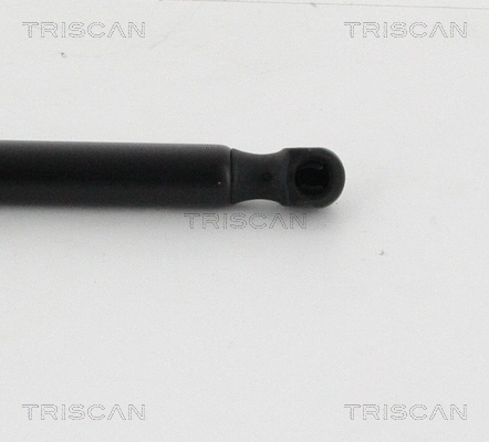 Gas Spring, boot/cargo area