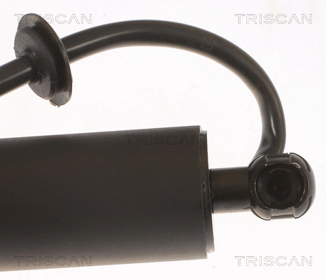 Gas Spring, boot/cargo area
