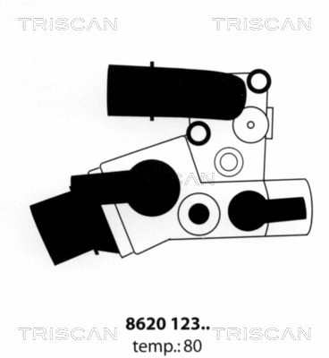 Thermostat, coolant (8620 12380)