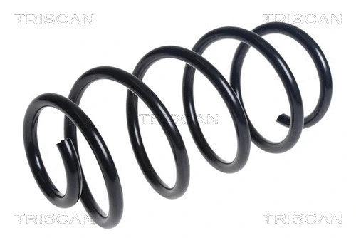 Suspension Spring (8750 16139)