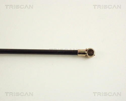Gas Spring, boot/cargo area