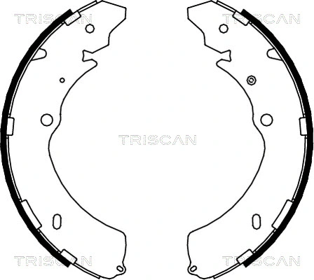 Brake Shoe Set (8100 10032)