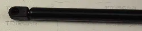 Gas Spring, boot/cargo area