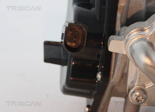 EGR Valve