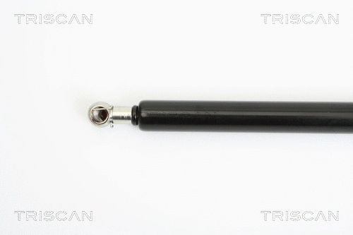 Gas Spring, boot/cargo area