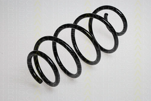 Suspension Spring (8750 29130)