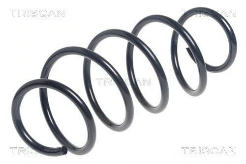 Suspension Spring (8750 11204)