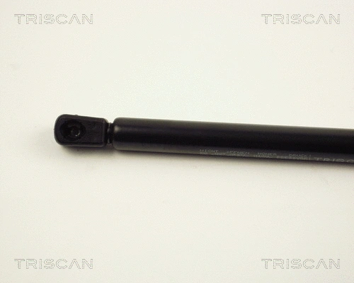 Gas Spring, boot/cargo area