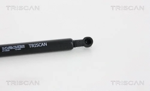 Gas Spring, boot/cargo area