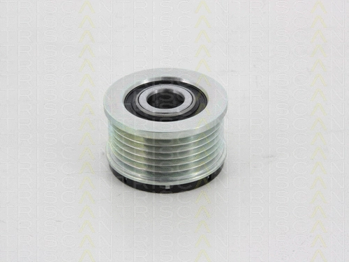 Alternator Freewheel Clutch (8641 284002)