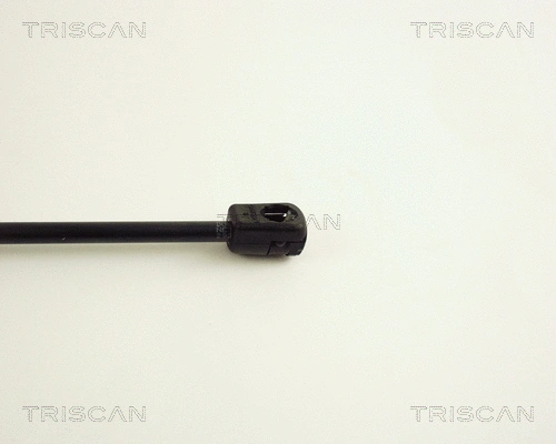Gas Spring, boot/cargo area