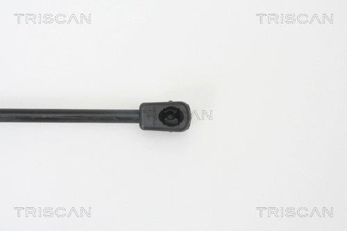 Gas Spring, boot/cargo area