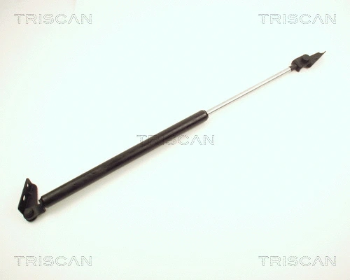 Gas Spring, boot/cargo area (8710 13213)