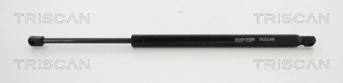 Gas Spring, boot/cargo area