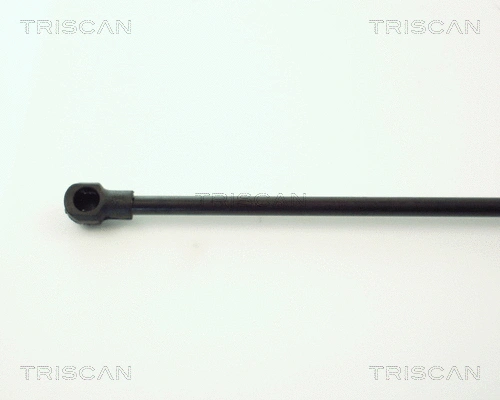 Gas Spring, boot/cargo area