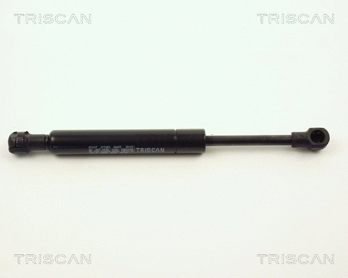 Gas Spring, boot/cargo area (8710 11219)