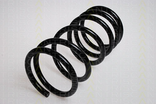 Suspension Spring (8750 16038)