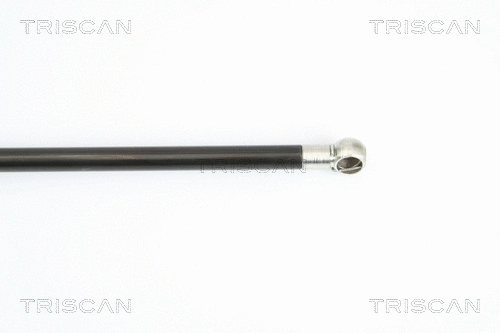 Gas Spring, boot/cargo area