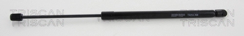 Gas Spring, boot/cargo area