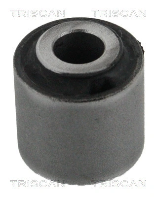 Mounting, control/trailing arm (8500 10848)