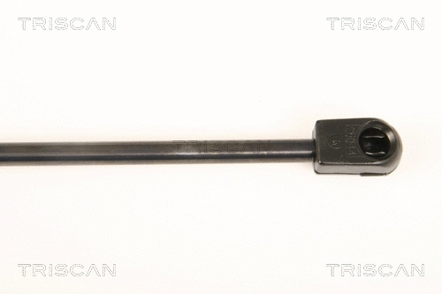Gas Spring, boot/cargo area