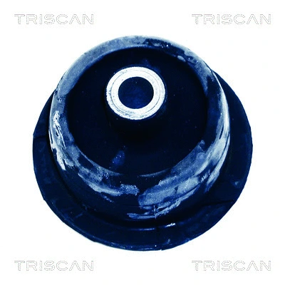Bushing, axle beam (8500 24822)