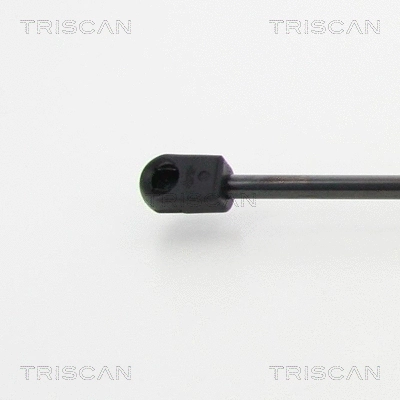 Gas Spring, boot/cargo area