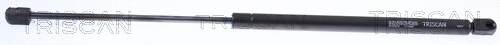 Gas Spring, boot/cargo area (8710 25219)