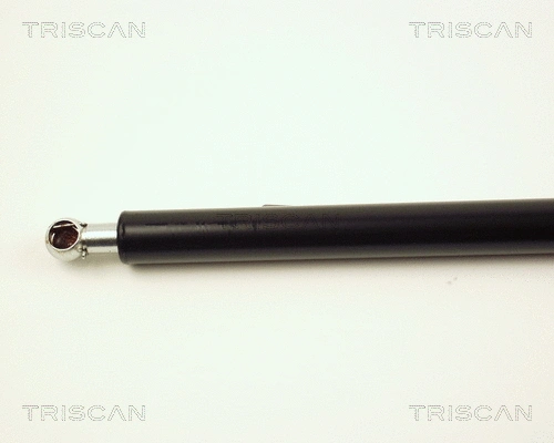Gas Spring, boot/cargo area
