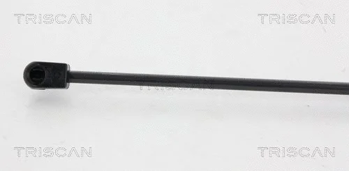 Gas Spring, boot/cargo area