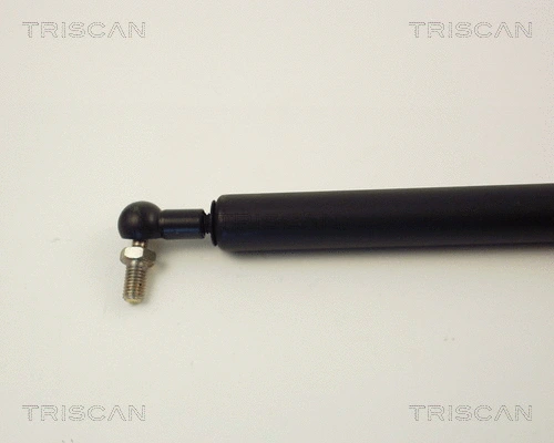 Gas Spring, boot/cargo area
